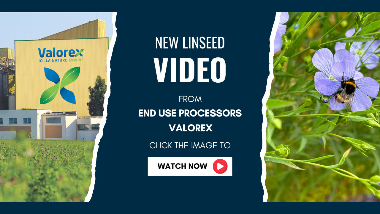 Linseed valorex video