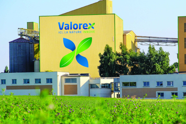 valorex.jpg